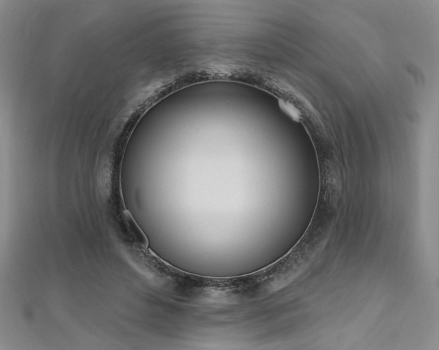 X0000112540496200908171445