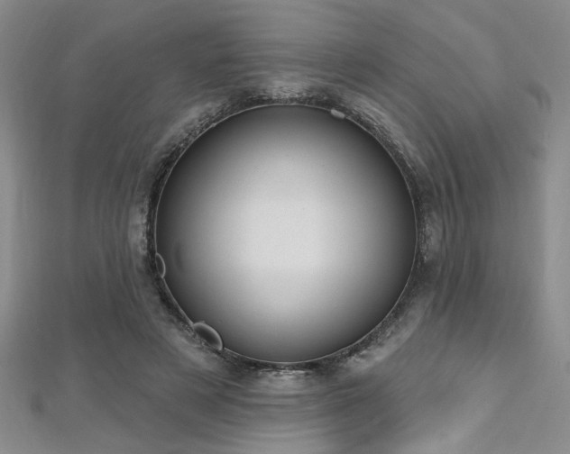 X0000112540497200908171445