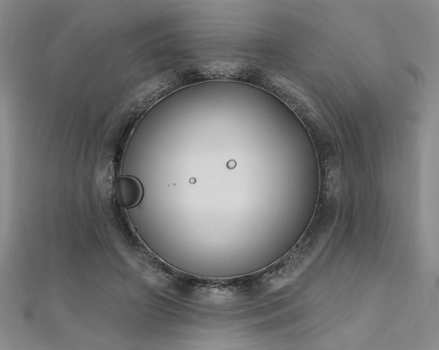 X0000112540498200908171445