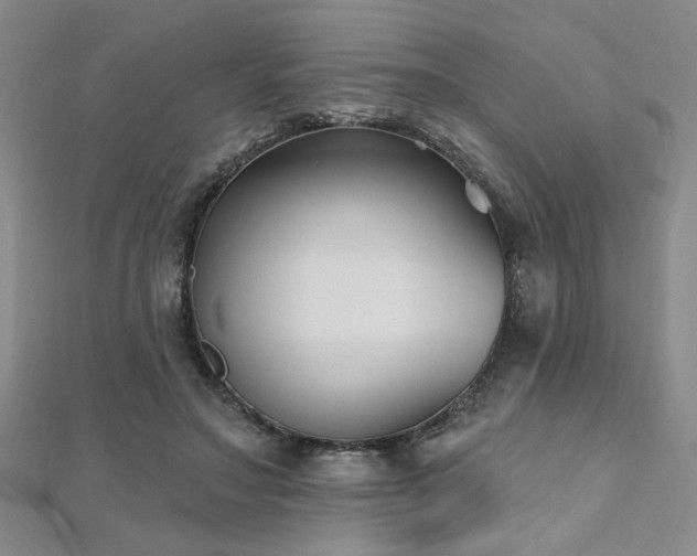 X0000112540499200908171445
