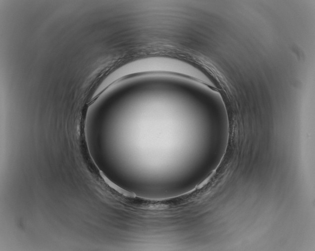 X0000112540501200908171445