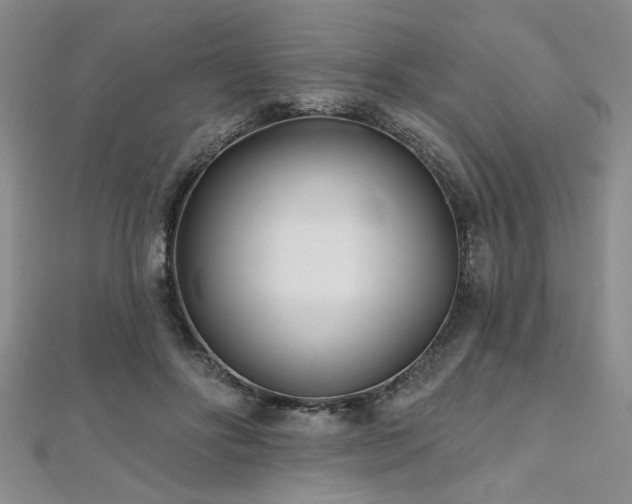 X0000112540502200908171445