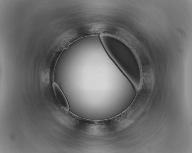 X0000112540504200908171445