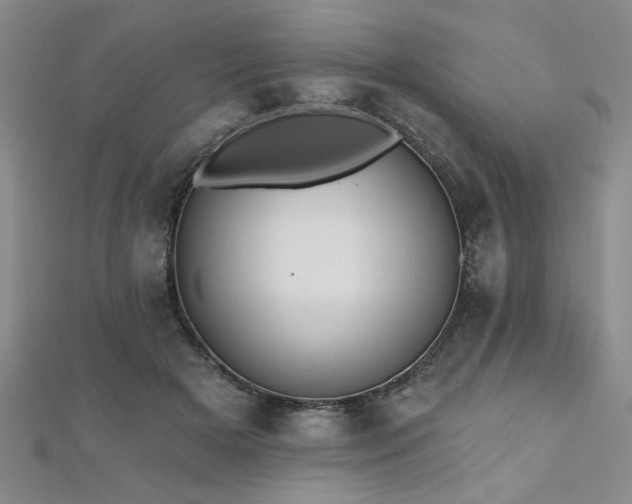 X0000112540505200908171445