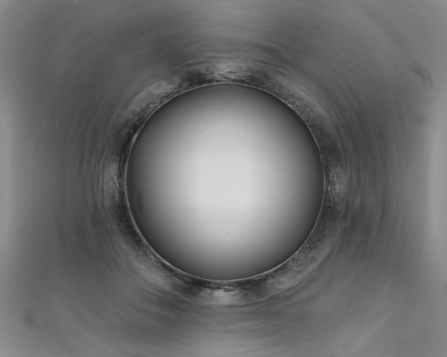X0000112540506200908171445