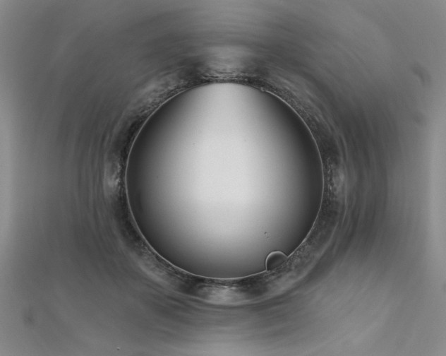 X0000112540507200908171445