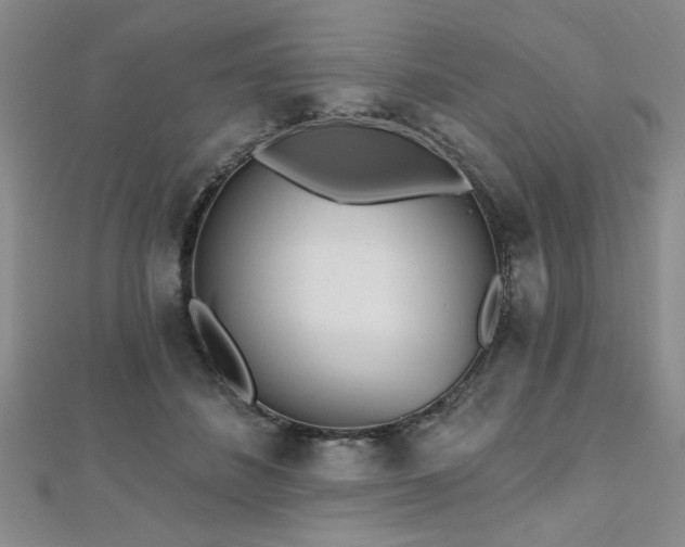 X0000112540508200908171445