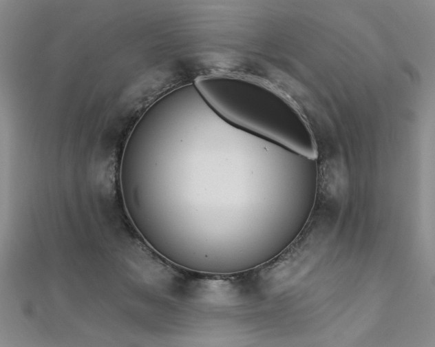 X0000112540509200908171445