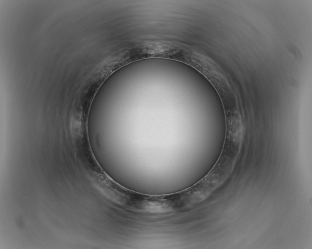 X0000112540510200908171445