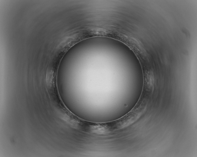X0000112540511200908171445