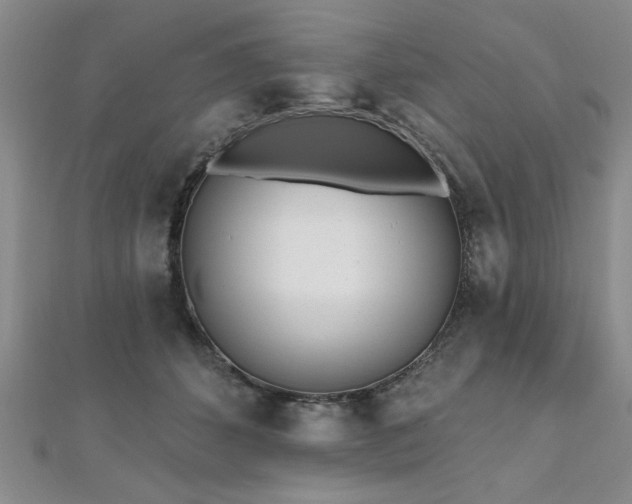 X0000112540512200908171445