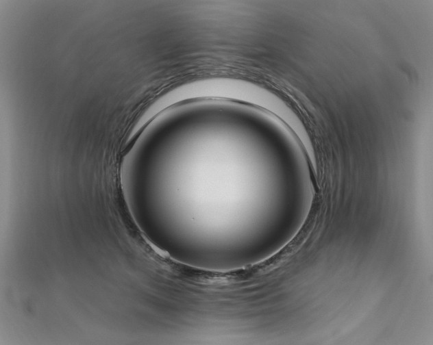X0000112540513200908171445