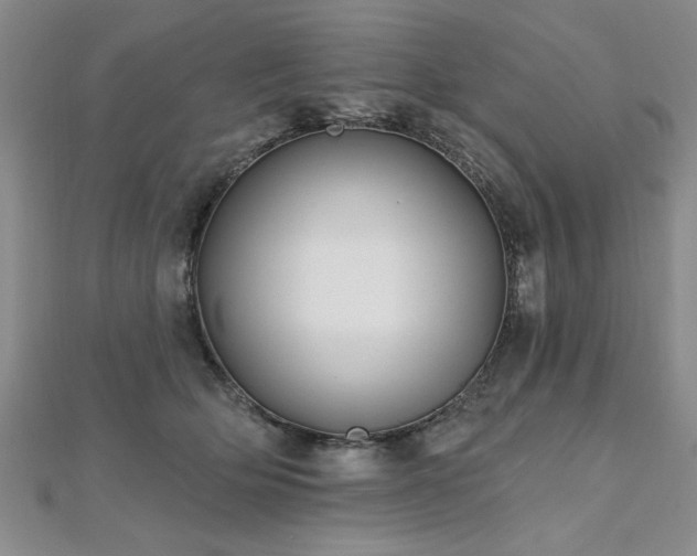 X0000112540514200908171445