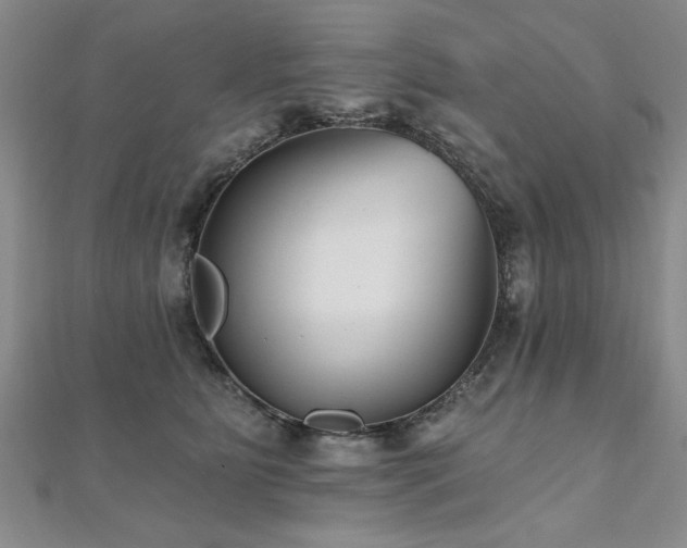 X0000112540515200908171445