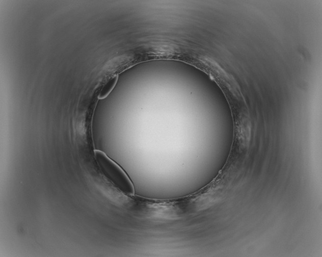 X0000112540516200908171445