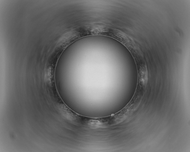 X0000112540519200908171445