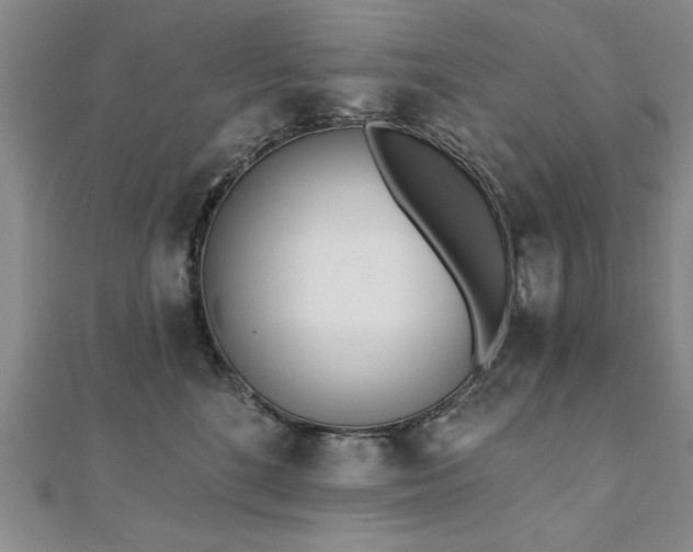X0000112540520200908171445