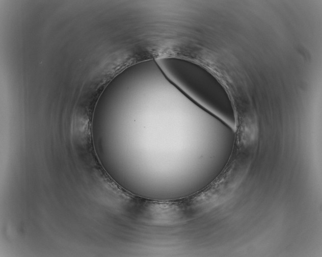 X0000112540521200908171445