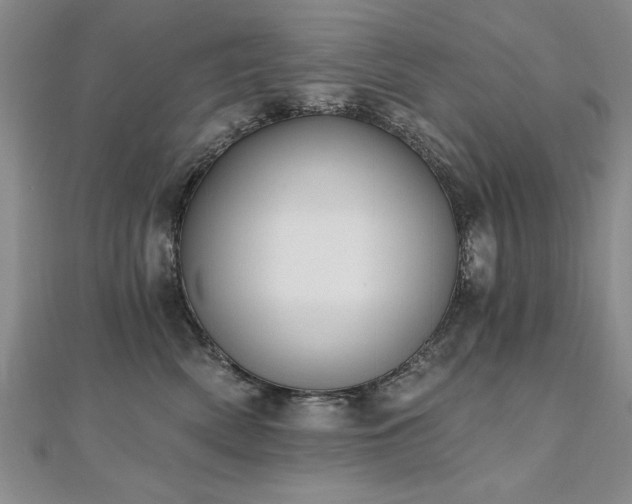 X0000112540522200908171445