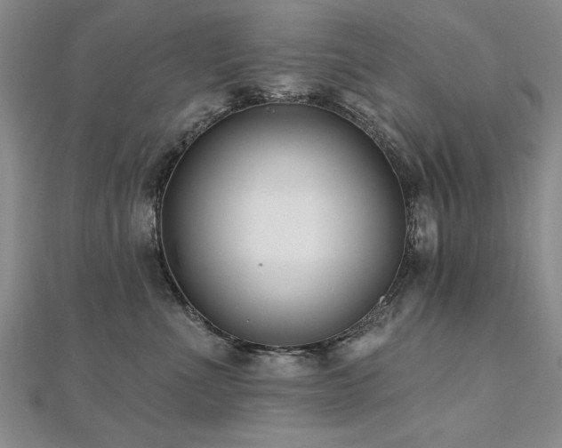 X0000112540523200908171445