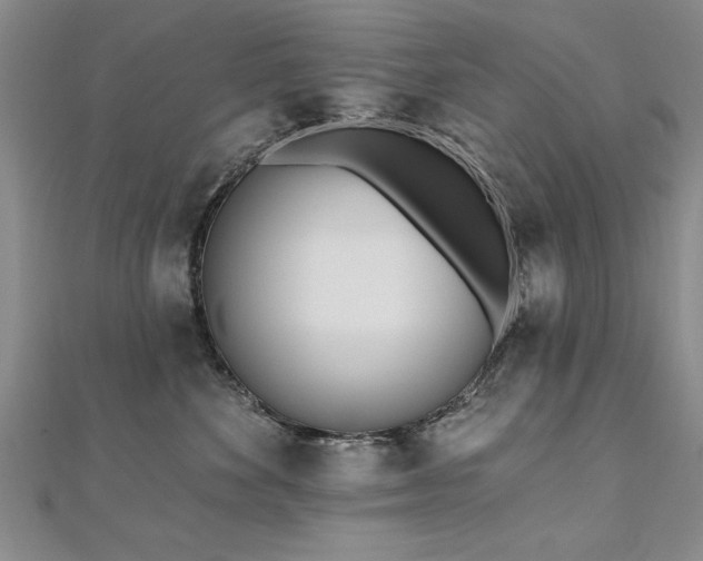X0000112540524200908171445