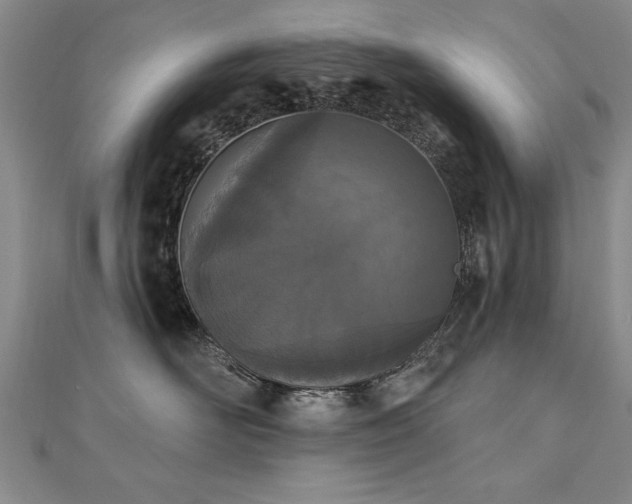 X0000112540526200908171445