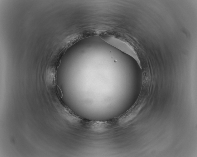 X0000112540527200908171445
