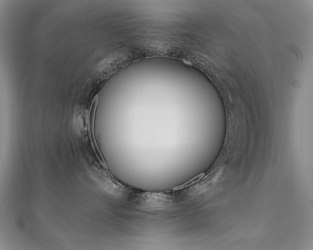 X0000112540528200908171445