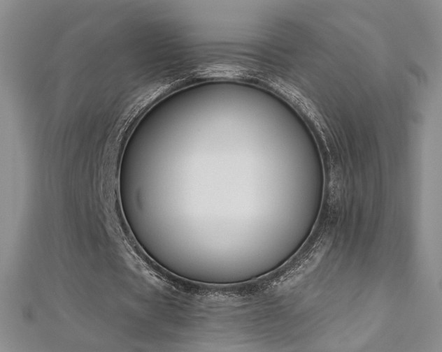 X0000112540529200908171444