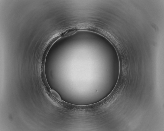 X0000112540530200908171444