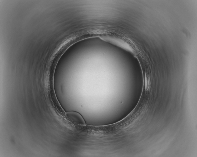 X0000112540531200908171444