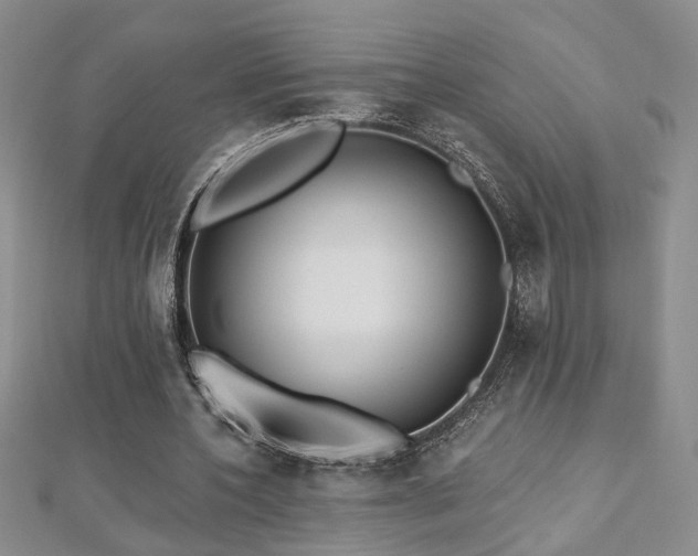 X0000112540532200908171444