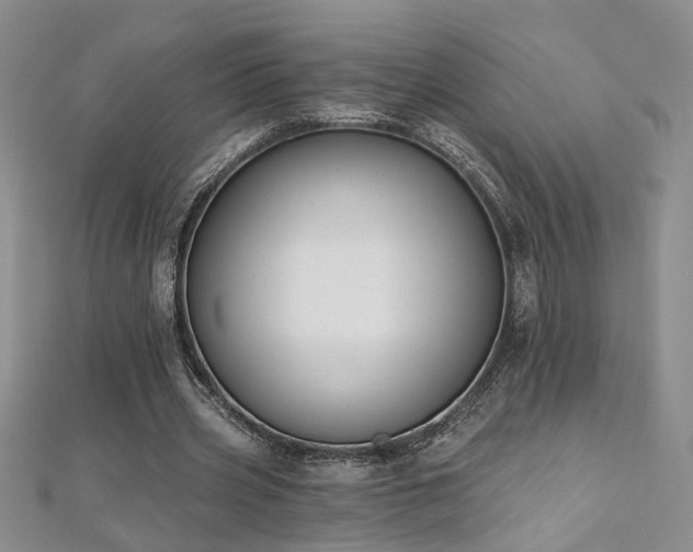 X0000112540533200908171444