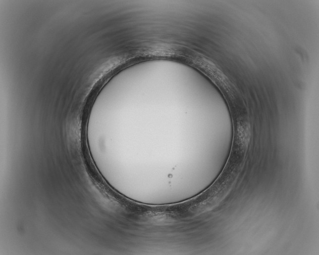 X0000112540534200908171444