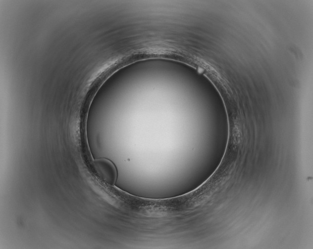 X0000112540535200908171444