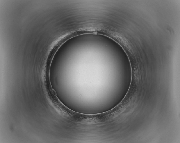 X0000112540536200908171444