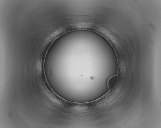 X0000112540537200908171444