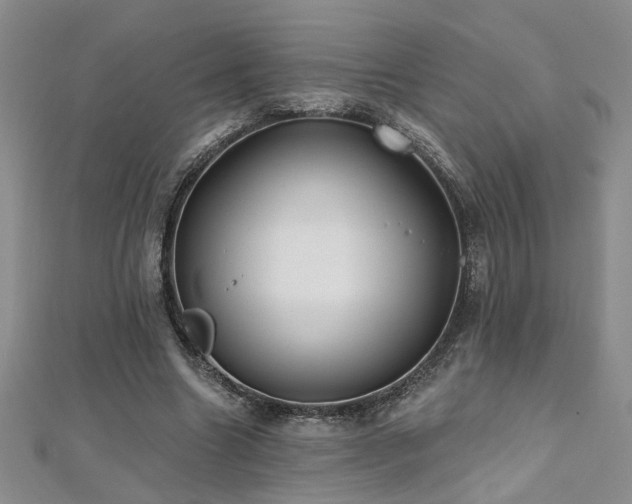 X0000112540538200908171444