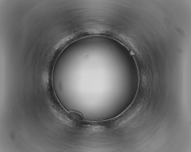 X0000112540539200908171444