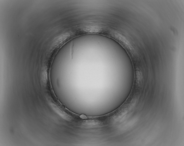 X0000112540541200908171444
