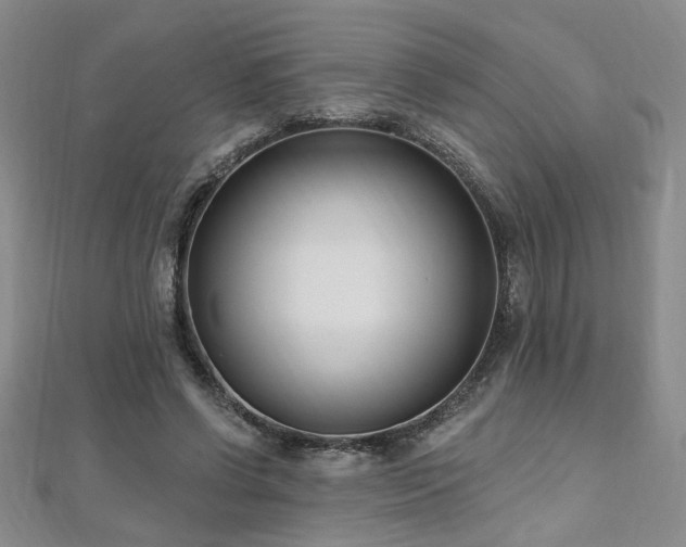 X0000112540542200908171444