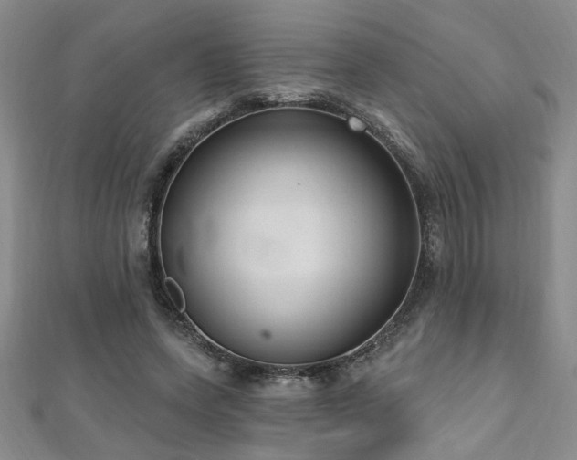 X0000112540543200908171444