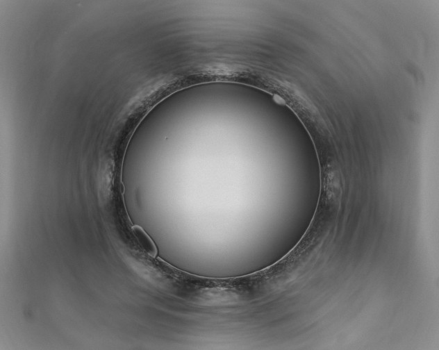 X0000112540544200908171444