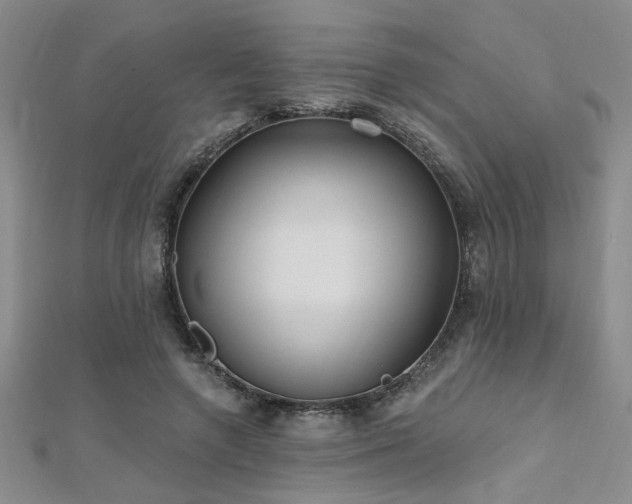 X0000112540546200908171444