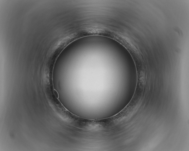 X0000112540547200908171444