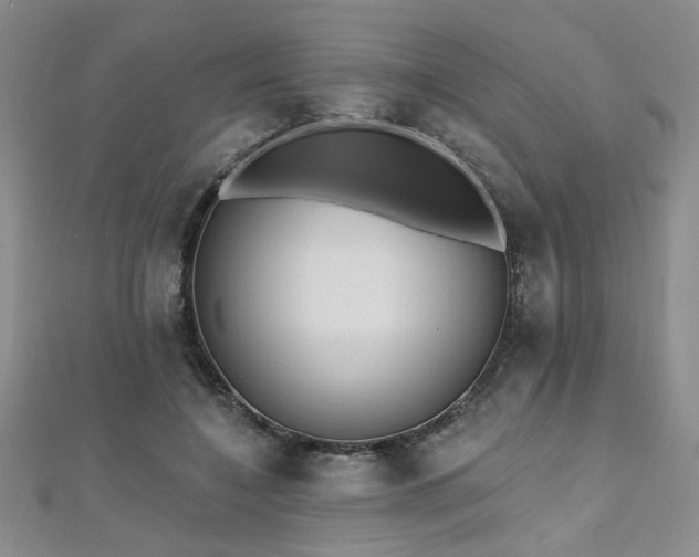 X0000112540548200908171444