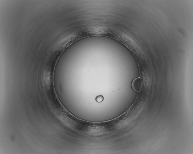 X0000112540549200908171444