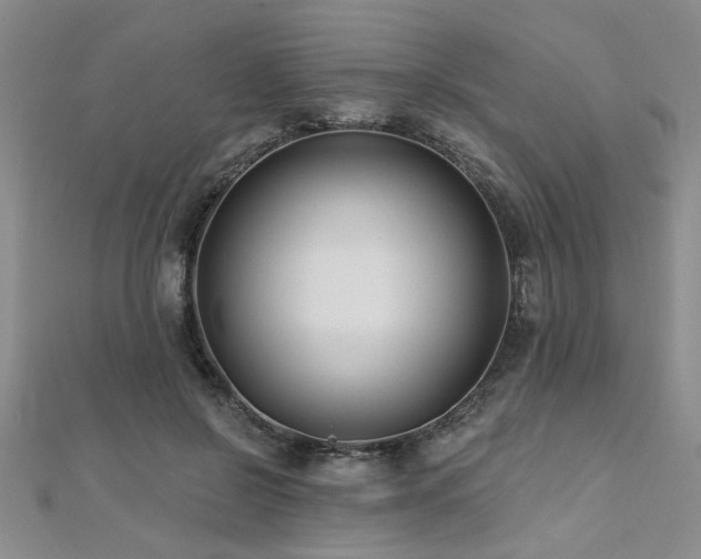 X0000112540550200908171444