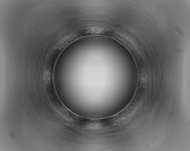 X0000112540551200908171444