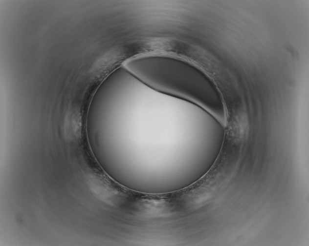 X0000112540552200908171444